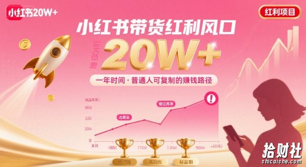 一年时间靠小红书带货项目年入20w+,最不能错的大红利项目