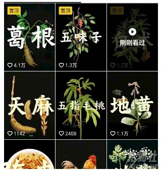 抖音中草药赛道,用AI做中草药故事视频,45条作品涨粉13W,橱窗带货猛猛出单