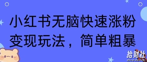 小红书无脑快速涨粉变现玩法，简单粗暴