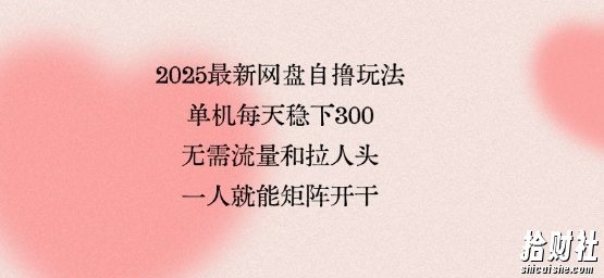 2025最新网盘自撸玩法，单机每天稳下3张，无需流量和拉人头，一个人就可轻松矩阵，全网独一份【揭秘】