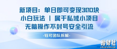 新项目单日即可变现3张的小白玩法无脑操作不封号安全引流