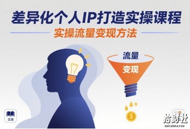 差异化个人IP打造实操课程,实操流量变现方法