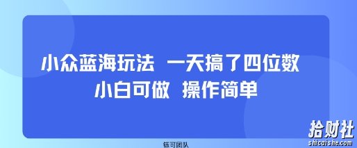 小众蓝海玩法 一天搞了四位数 小白可做 操作简单