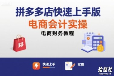 拼多多店快速上手版电商会计实操-电商财务教程