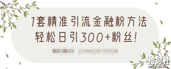 1套精准引流金融粉方法,轻松日引300+粉丝【视频课程】