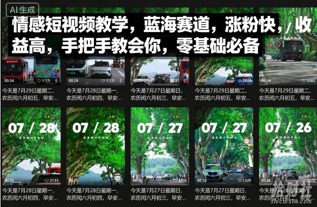 情感短视频教学，蓝海赛道，涨粉快，收益高，手把手教会你，零基础必备