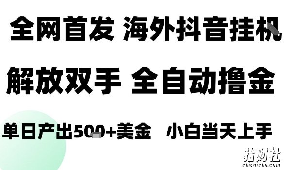 海外抖音无人直播,单日产出1.5k+,长期稳定,新手可玩,无脑操作【揭秘】