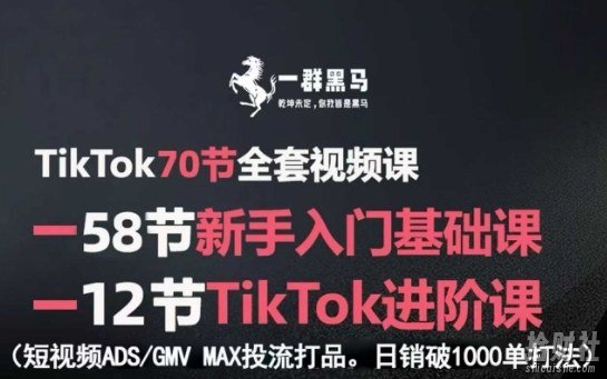 TikTok全套视频课,新手入门+进阶课,短视频ADS-GMV MAX投流打品,日销破1000单打法