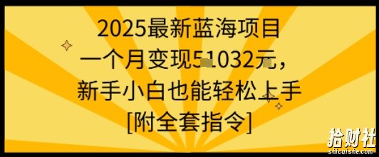 2025最新蓝海项目一个月变现1w+新手小白也能轻松上手【附全套指令】