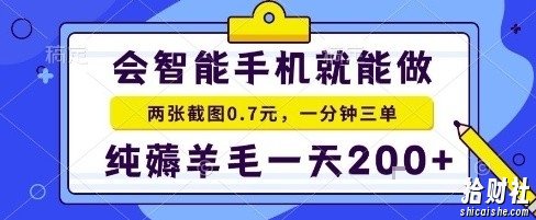 手机项目,二十秒一单,纯薅羊毛一天2张+做就有【揭秘】