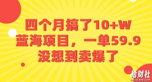 四个月搞了10+W的蓝海项目,一单59.9米,没想到卖爆了