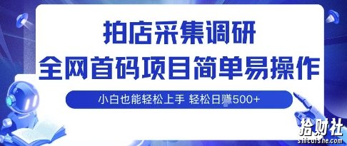拍店采集调研,全网首码项目,简单易操作, 小白也能轻松上手,多账号操作,轻松日入5张【揭秘】