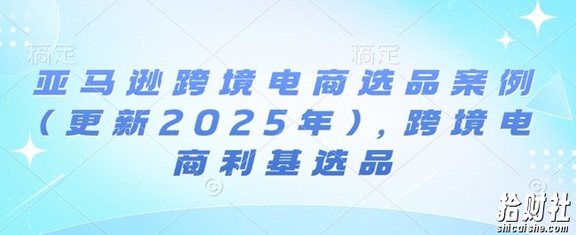 亚马逊跨境电商选品案例(更新2025年10月),跨境电商利基选品