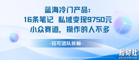 蓝海项目：16条笔记私域变现9750米小众赛道操作的人不多