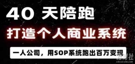 40天陪跑打造个人商业系统,一人公司,用SOP系统跑出百W变现