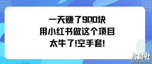 一天挣了9张用小红书做这个项目太牛了，空手套