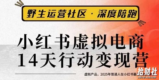 小红书虚拟电商14天变现训练营3.0,虚拟产品,2025年普通人在小红书最后的搞钱机会