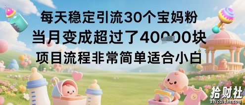 每天稳定引流30个宝妈粉当月变成超过了1W+项目流程非常简单适合小白