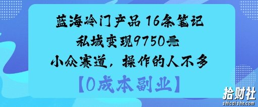 蓝海冷门产品：16条笔记私域变现9750米小众赛道，操作的人不多