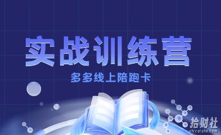 多多实战训练营,从0到1打造一个真正賺米的店铺