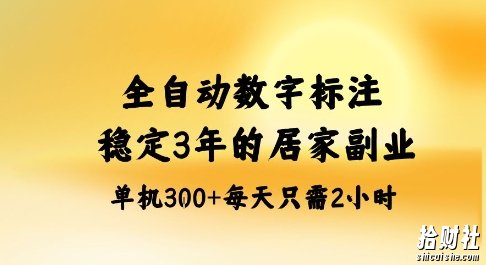全自动数字标注,稳定3年的蓝海项目,居家也能矩阵开干的副业,单机日入3张+【揭秘】