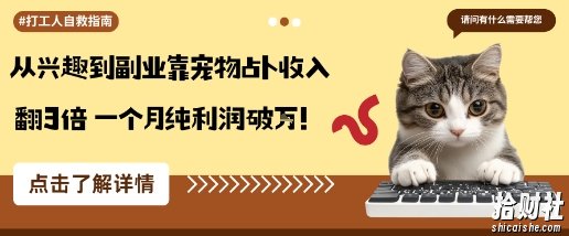 从兴趣到副业靠宠物占卜收入翻3倍一个月纯利润破W