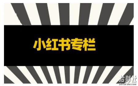 品牌医生·小红书全链营销干货,5个起盘案例,7个内容方向,n条避坑指南