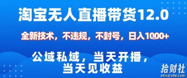 淘宝无人直播12.0，公域私域技术，不封号，不违规布局双十一流量风口，日入1k（独家技术）【揭秘】