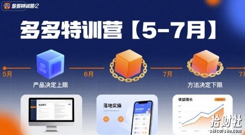 多多特训营,产品决定上限,方法决定下限,各种玩法技巧落地实操(更新)