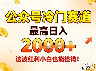 公众号冷门赛道,最高日入1k+,这波红利小白也能捡钱!