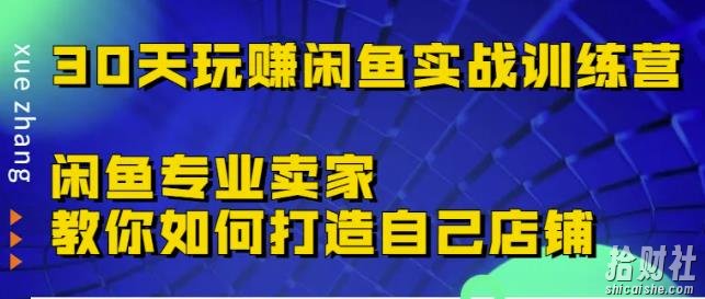 30天玩赚闲鱼实战训练营,闲鱼专业卖家教你如何打造自己店铺