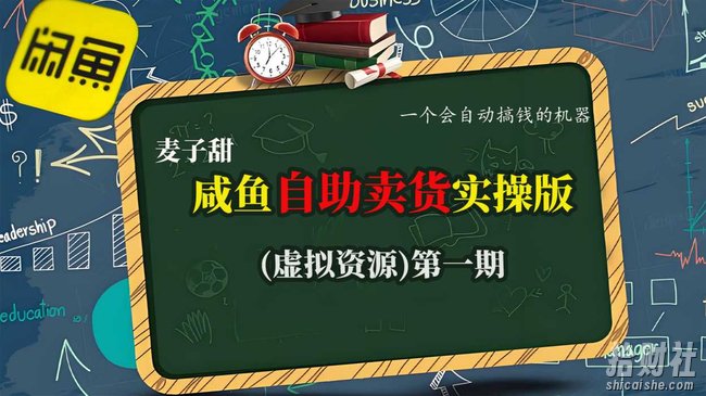 麦子甜咸鱼自助卖货实操版(虚拟资源)一个会自动搞钱的机器