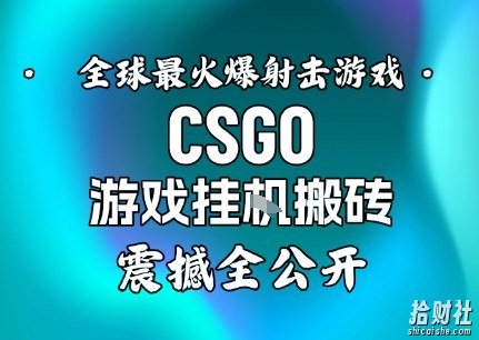 【年底大揭秘】基于全球最火爆的射击CSGO游戏挂G搬砖,日入5张+,震撼公开