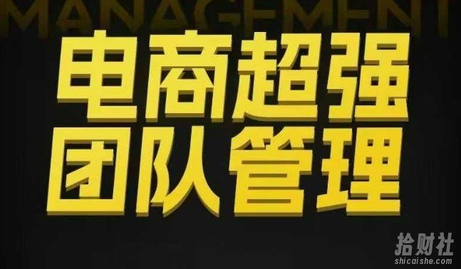 电商超强团队管理，组织绩效，到用人执行，分权合伙