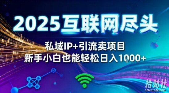 2025网创尽头王炸项目!私域IP+精准引流,新手小白在家躺賺日入1k,零经验也能上手【揭秘】