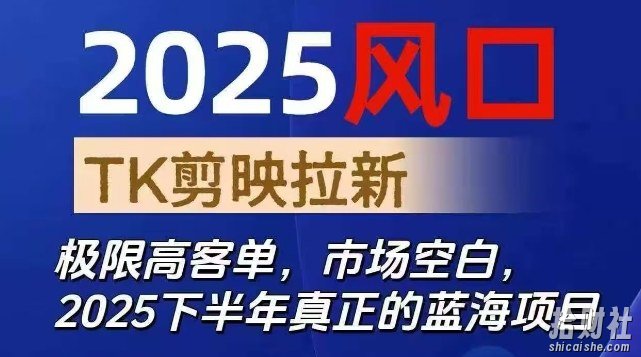 2025风口TK剪映capcut拉新项目，极限高客单，市场空白，2025下半年真正的蓝海项目