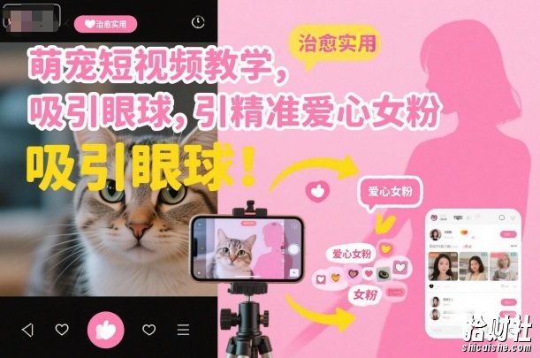 萌宠短视频教学，吸引眼球，引精准爱心女粉