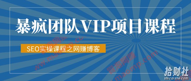暴疯团队VIP賺米项目教程之(SEO实操课程之网创博客)