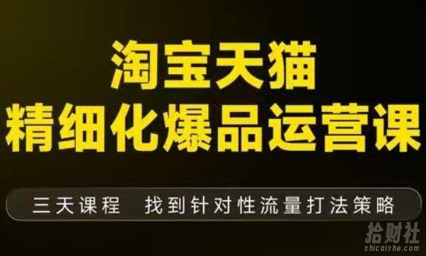 淘宝天猫精细化爆品运营(9月12-14杭州线下课),全方位拆解爆品打造逻辑【音频+字幕+文档】