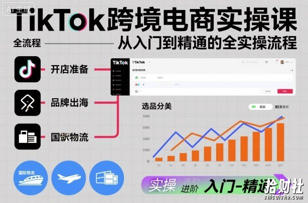 TikTok跨境电商实操课，从入门到精通的全实操流程