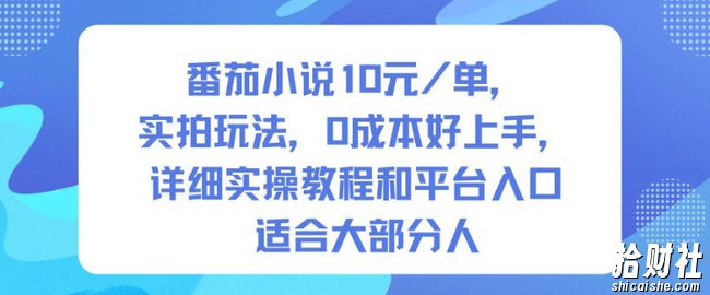 番茄小说10米每单，实拍玩法，0成本好上手，详细实操教程和平台入口适合大部分人