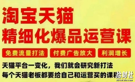 淘宝天猫精细化爆品运营课,免费流量打法-付费广告放大-利润增长-三大核心痛点,一次全部解决