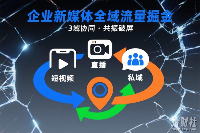 短视频全域商业模式，企业新媒体全域流量掘金，3域协同，共振破屏，短视频-直播-私域-地域