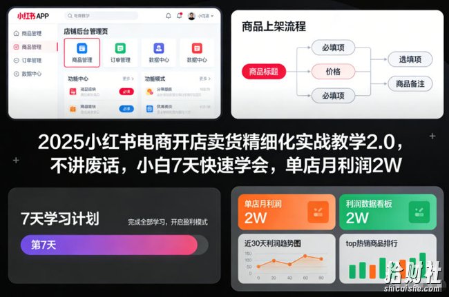 2025小红书电商开店卖货精细化实战教学2.0,不讲废话,小白7天快速学会,单店月利润2W