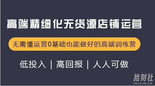 炜达内训课,高端精细化无货源店群店铺运营(价值12800)