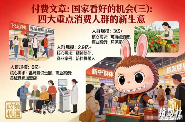 付费文章：国家看好的机会(三)：四大重点消 费人群的新生意