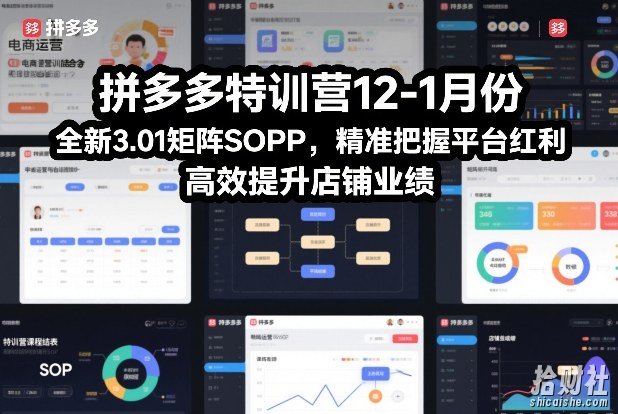拼多多特训营12-1月份,全新3.01矩阵Sop,精准把握平台红利,高效提升店铺业绩