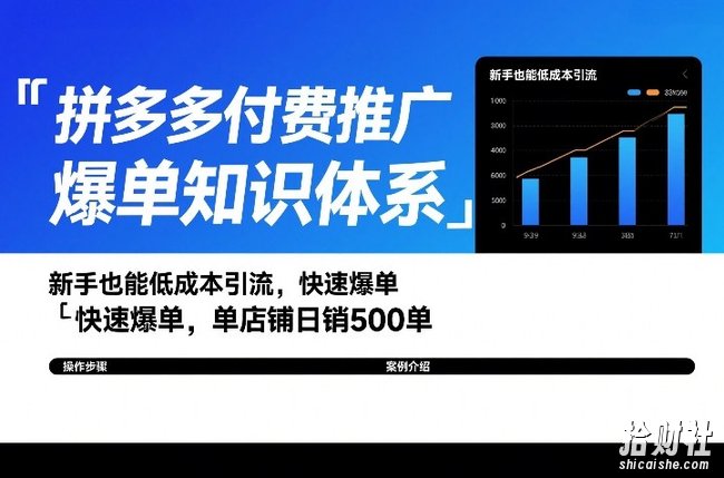 拼多多付费推广爆单知识体系,新手也能低成本引流,快速爆单,单店铺日销500单