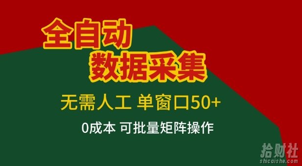 全自动数据采集项目，无需人工，单窗口可达50+收益，操作简单无难度，一个人也能轻松实现矩阵【揭秘】
