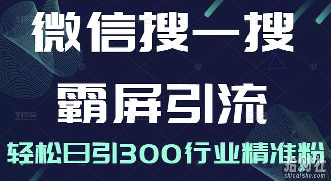 微信搜一搜霸屏引流课,打造被动精准引流系统,轻松日引300行业精准粉【无水印】